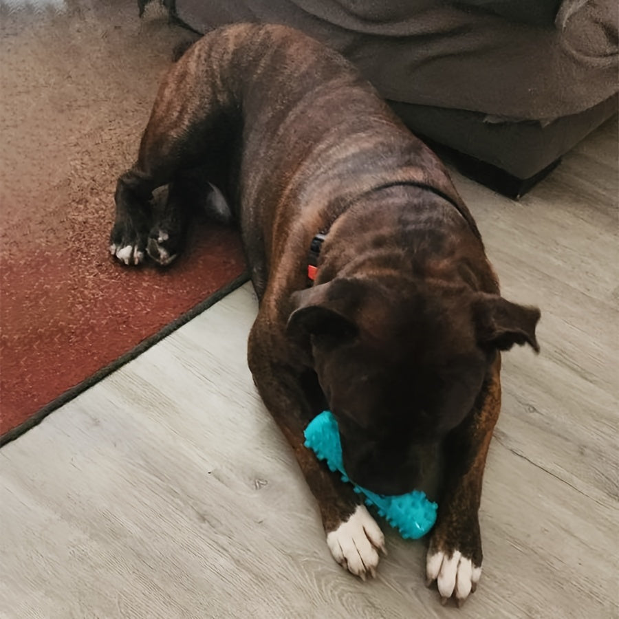 Indestructible Bite-Resistant Dog Chew Toy – Teeth Cleaning Molar Stick for Aggressive Chewers