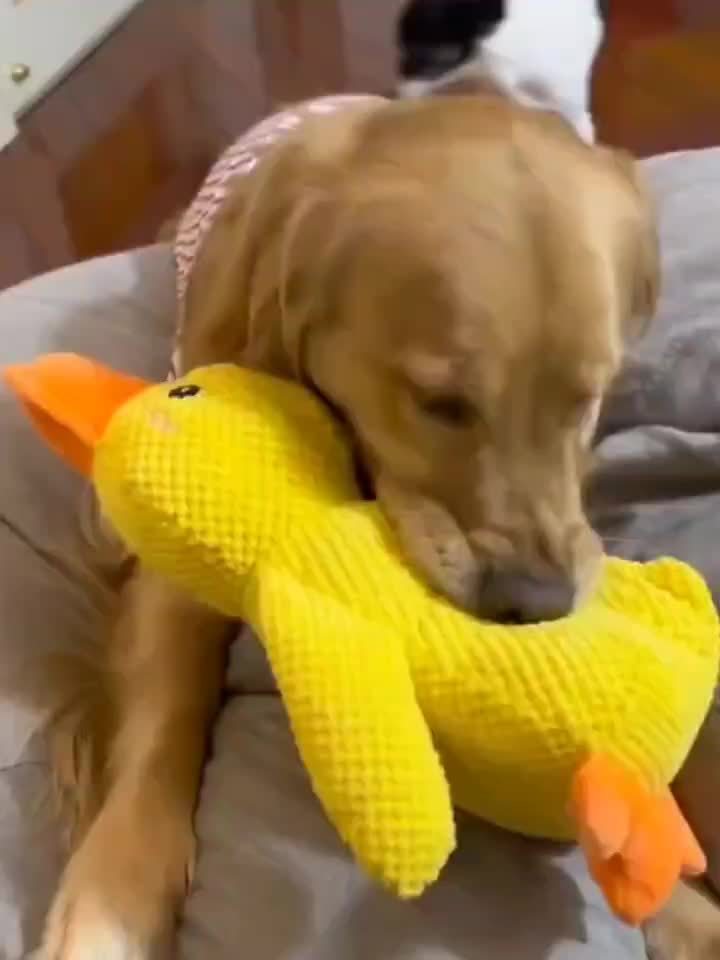 Heavy-Duty Plush Duck Chew Toy – Squeaky Durable for Aggressive Chewers & Large Dogs