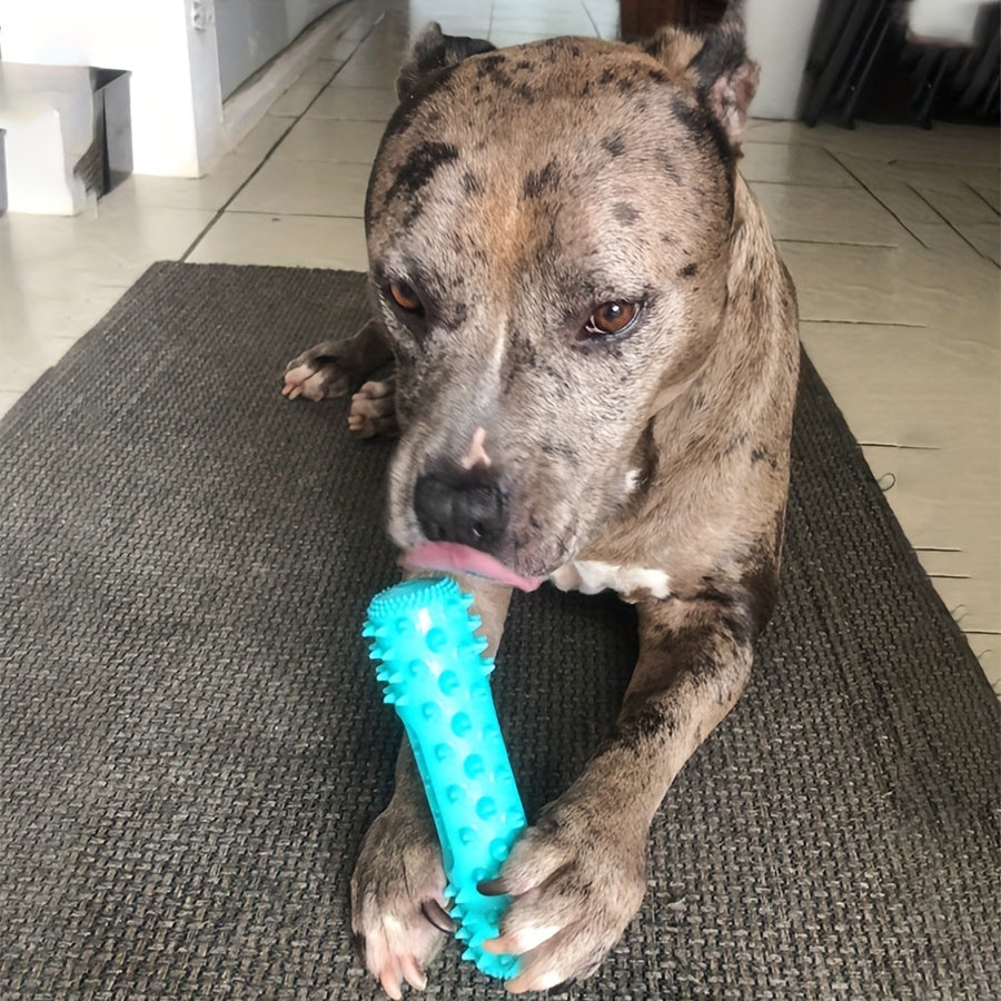 Indestructible Bite-Resistant Dog Chew Toy – Teeth Cleaning Molar Stick for Aggressive Chewers