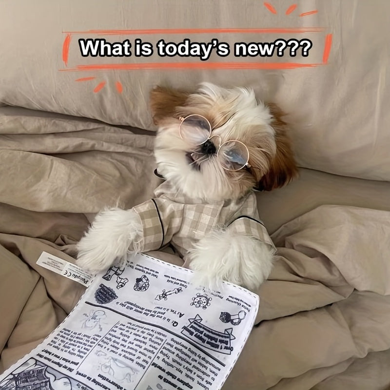 Crinkle Sound Plush Dog Toy – Interactive Raschel Paper Chew for Puppies